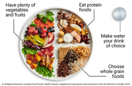 Sample meal plate showing 1/2 plate vegetables and fruit, 1/4 plate protein foods, and 1/4 plate whole grain foods, with water as drink