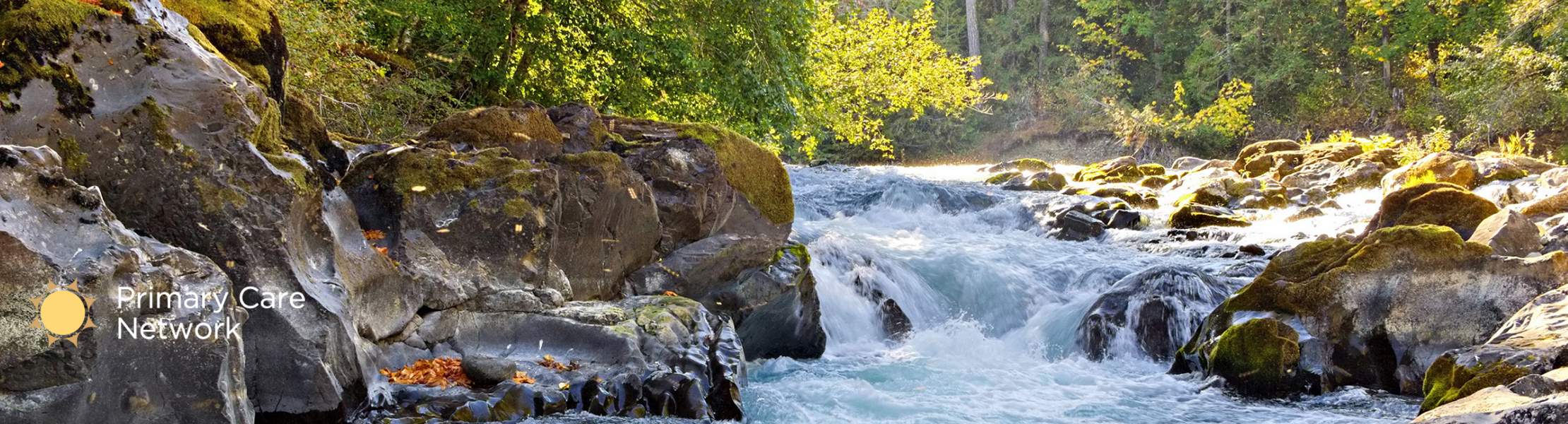 Cowichan River