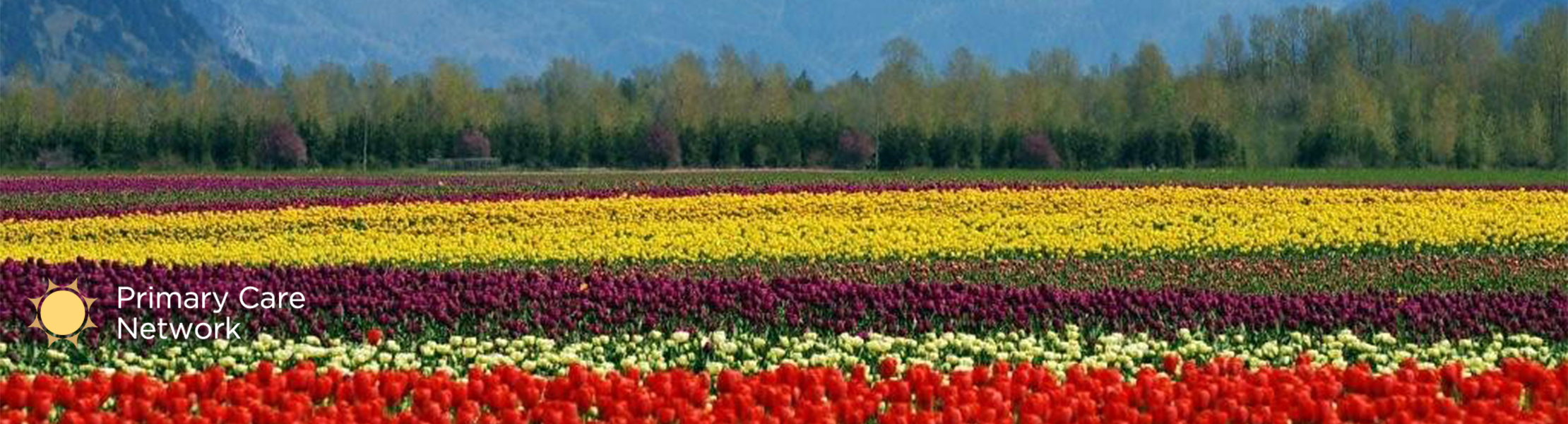 Field of Flowers in Fraser Valley 