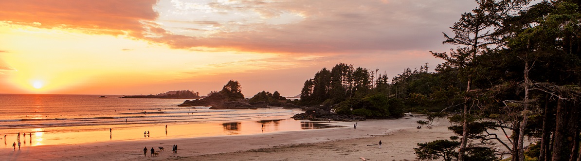 Tofino beach at sunset. 