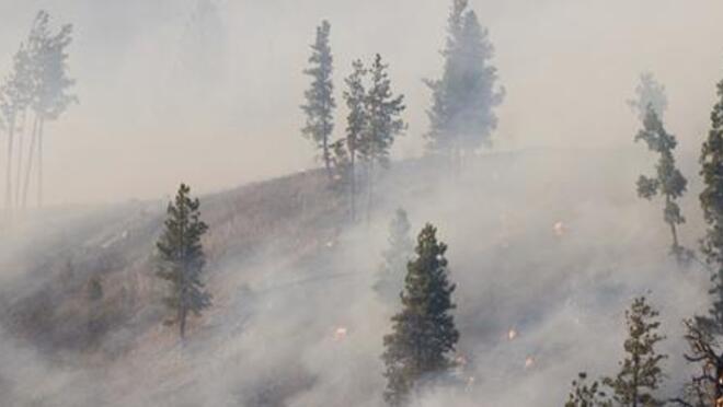 Wildfires and your health