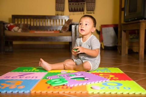 11 month discount old cognitive development