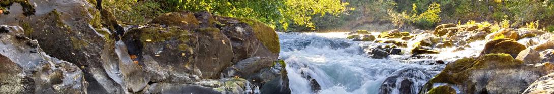 Cowichan River