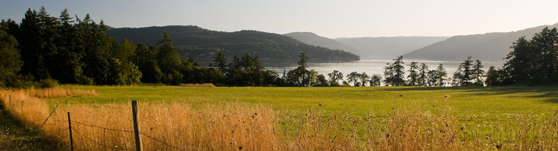 Field overlooking Saanich and inlet 