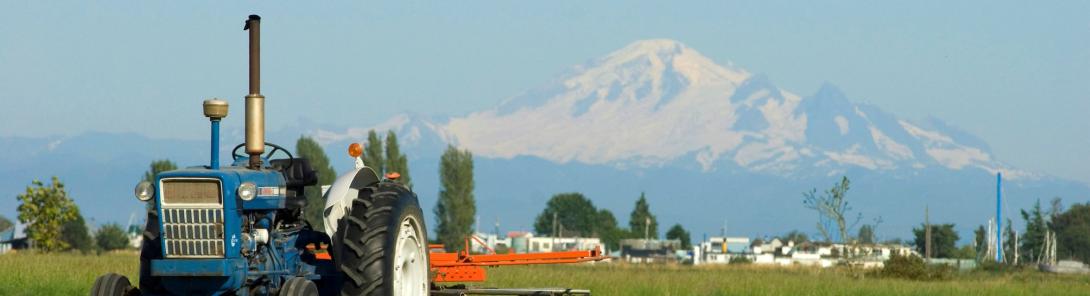 Farm in South Delta, Vancouver BC 